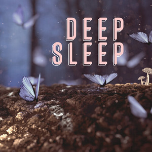 Deep Sleep