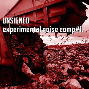 Unsigned Experimental Noise Comp#1.