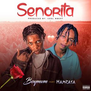 Senorita (feat. Hamzata)