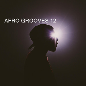 AFRO GROOVES 12