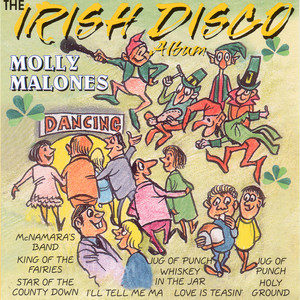 The Irish Disco Album