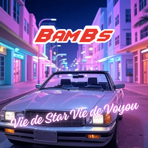 Vie de Star Vie de Voyou