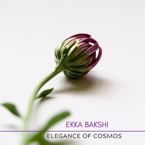 Elegance Of Cosmos (Original Mix)