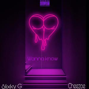 Wanna know (feat. Cheezoe) (Explicit)
