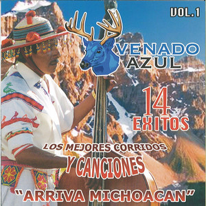 Los Mejores Corridos Y Canciones