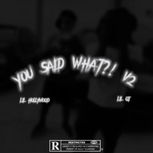 YOU SAID WHAT?! V2 (Explicit)