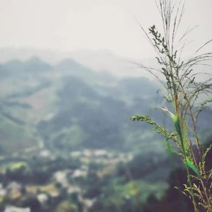 手碟&吉他-檀道