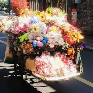 雨总会停天总会晴 (雨声BGM)