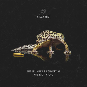 Need You (Extended Mix)