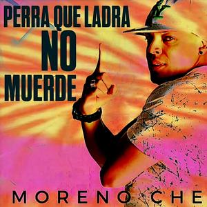 Perra Que Ladra No Muerde