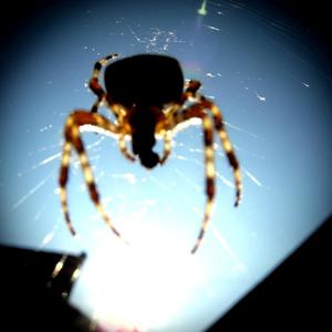 Any Way And Every Way