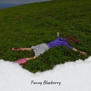 Funny Blueberry