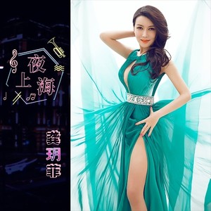 夜上海 (DJ何鹏版)