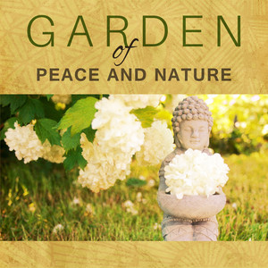 Aromatherapy for Senses