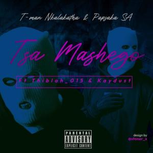 Tsa Mashego (feat. Papsaka SA, Thiblah_015 & Kaydust)