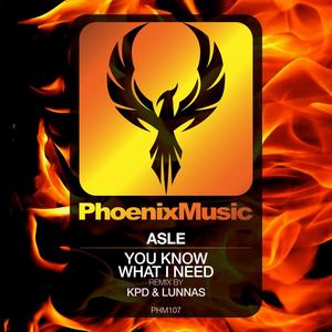 You Know What I Need (KPD & Lunnas Remix)