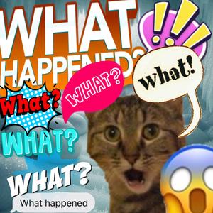 Hillary Marek - What happened? (feat. Matt Black) (Explicit)