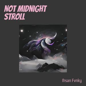 Not Midnight Stroll