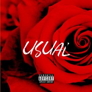 USUAL (FREESTYLE) [Explicit]