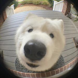 没天赋 (prod by lv9)