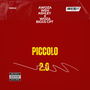 Piccolo 2.0 (feat. Woza Biggs Cpt)