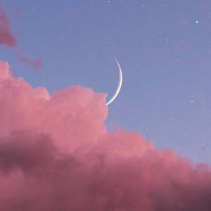 AppleDogAwesome - Liability