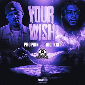 Your Wish (feat. Propain & Big K.R.I.T.) (chopped & smooved) (Explicit)