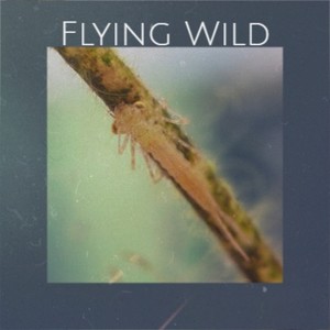 Flying Wild