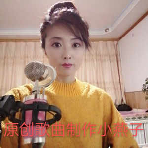 梦里的歌 - 小燕子封面