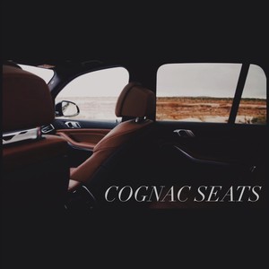 Cognac Seats