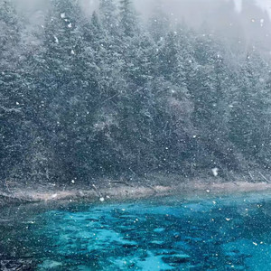 过客何须千千结