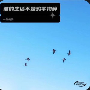 谁的生活不是鸡零狗碎