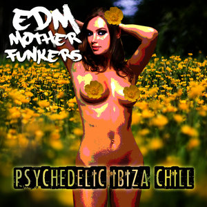 Psychedelic Ibiza Chill