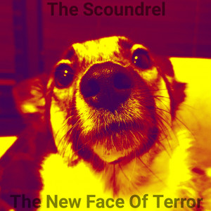 The New Face Of Terror