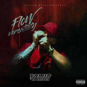 Flow Versatility (Explicit)