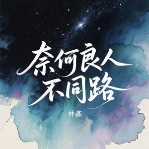 奈何良人不同路