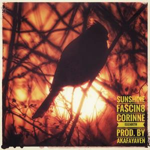 Sunshine(feat. Corinne Elizabeth) (Explicit)