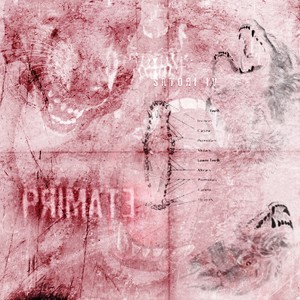 Primate (Explicit)