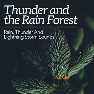 Thunder and the Rain Forest