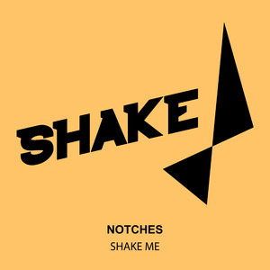 Shake It (Original Mix)