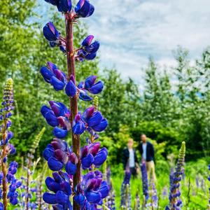 On A Roll (Explicit)