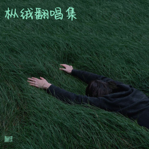 山川星辰皆是你封面