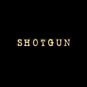 Shotgun