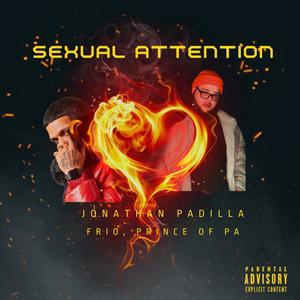 Sexual Attention (Explicit)