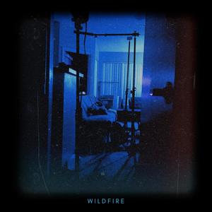 Wildfire