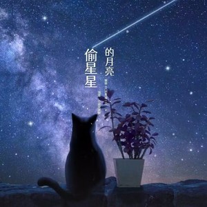 偷星星的月亮（男女对唱版）