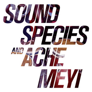 Soundspecies & Ache Meyi