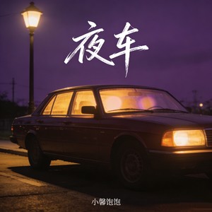 夜车封面
