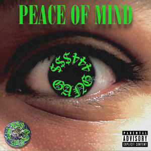 PEACE OF MIND (Explicit)