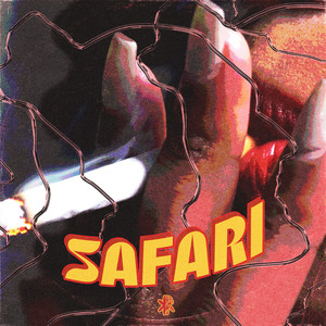 Safari